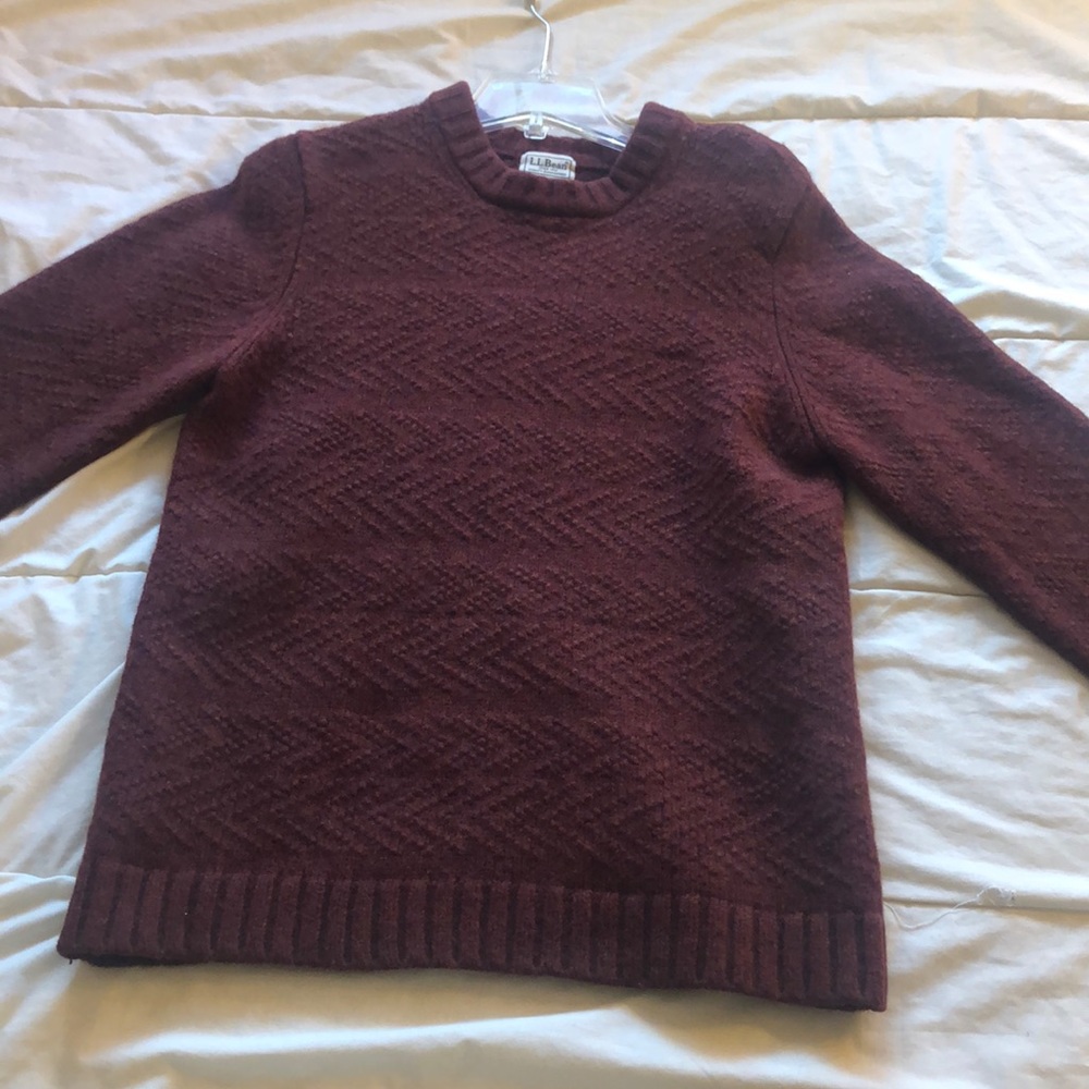 Thick & Warm Rust Colored L.L. Bean sweater